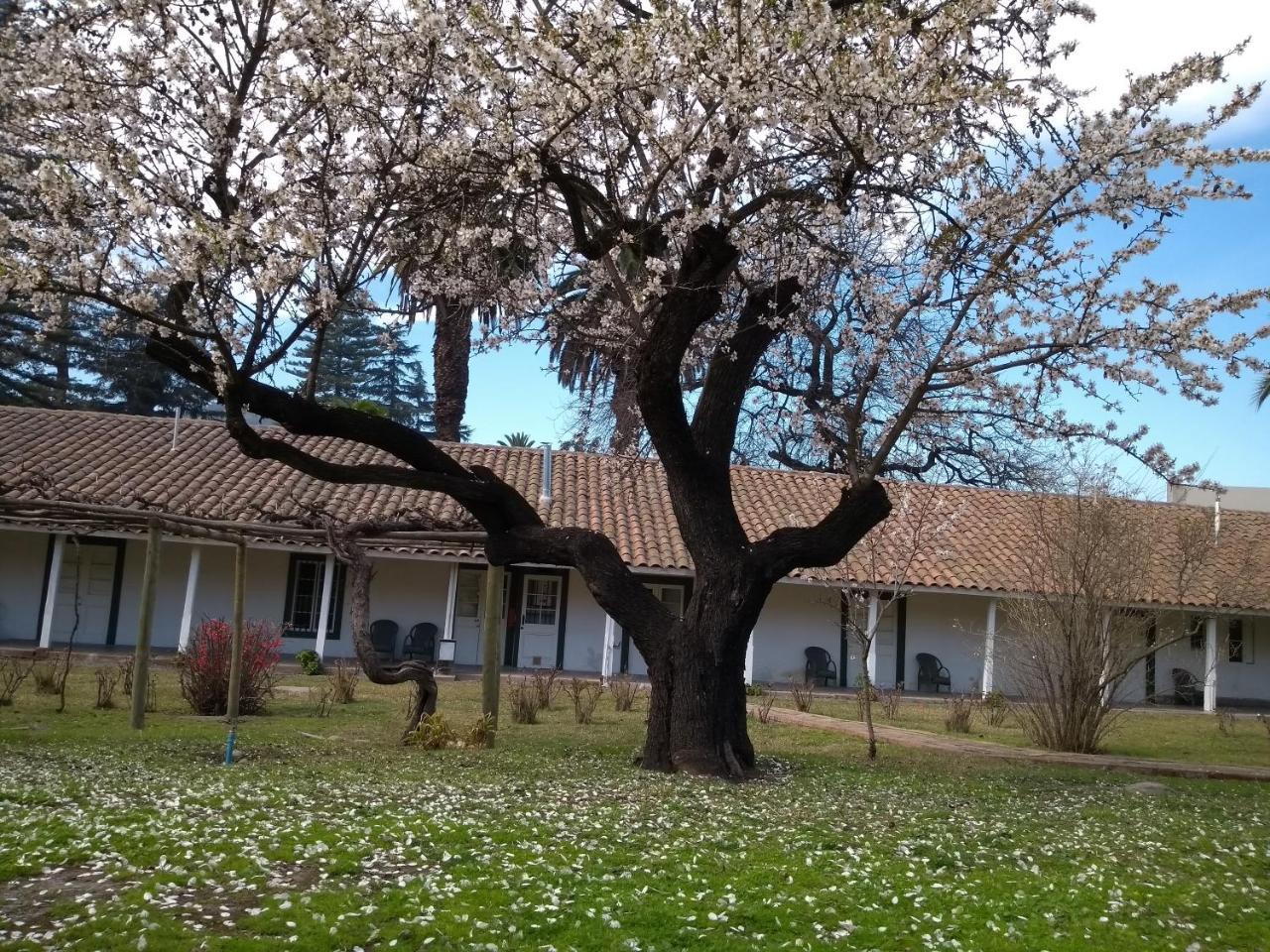 Hotel Plaza Malloa Zewnętrze zdjęcie